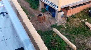 нож против ножовки