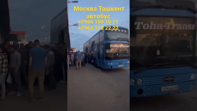 Москва Ташкент автобус Санкт-Петербург Ташкент автобус Москва Узбекистан автобус #москва #автобус ￼