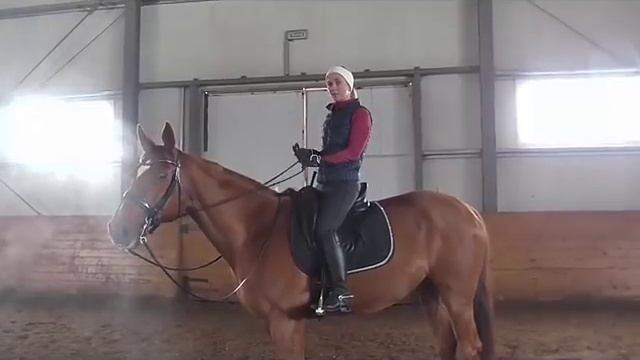 ЛОШАДЬ ПОНЕСЛА...ЧТО ДЕЛАТЬ??? смотреть онлайн