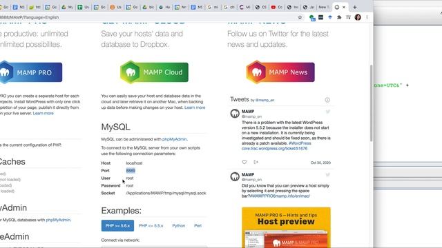 Java: Connect to Database locally смотреть онлайн