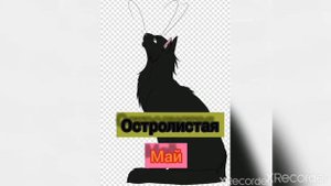 Кто ты из котов воителей КОШЕК по месяцу рождения