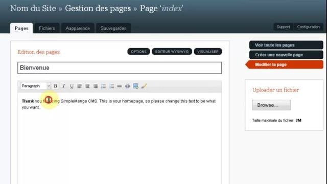 Cours 1 : Création de site web dynamique CMS en localhost | WampServer смотреть онлайн