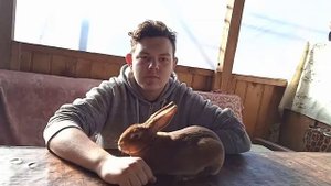 //ВСЕ О ПОРОДЕ КРОЛИКОВ РЕКС// МОЙ НОВЫЙ КРОЛИК//