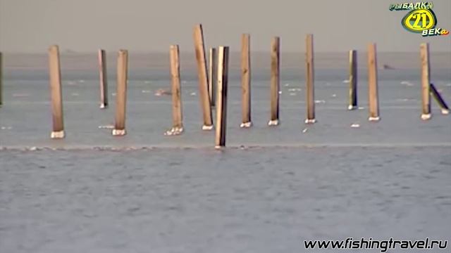 На Рыбалку вместе с Папой. Дельта Волги и Ахтуба. смотреть онлайн