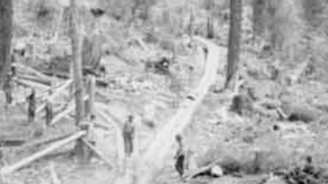 MCJ 15 TTh:Steam Donkey| JT Garcia смотреть онлайн