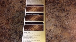 ✅Best Hair Highlights Dye for Black or Dark Brown Hair by L'Oreal UL63 Warmer Hi-Lift Golden Brown