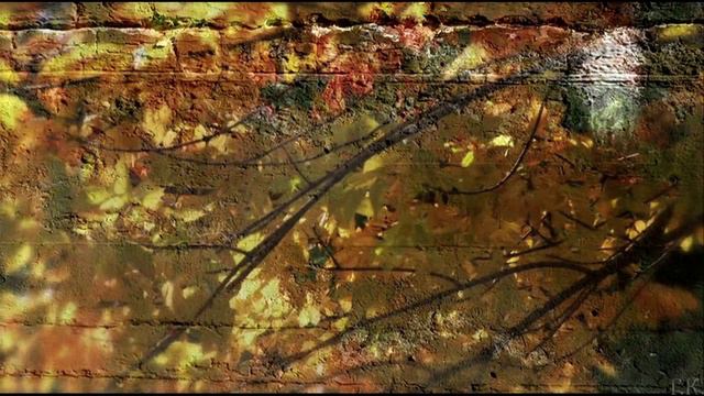 Черный кофе Листья . С ветки падающий лист (миньон 1987) (Переступи порог -переиздание 1996)