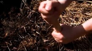 Проводим эксперимент: сколько времени необходимо, чтобы вырыть окоп саперной лопатой