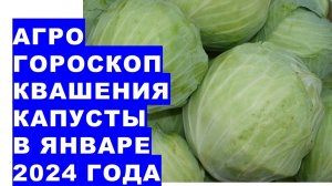 Агрогороскоп квашения капусты в январе 2024 года.Agrogoroscope of sauerkraut for January 2024