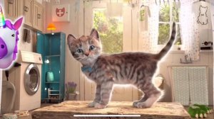 НОВЫЕ ПРИКЛЮЧЕНИЕ МАЛЕНЬКОГО КОТЕНКА в школе и дома - Выбираем игры с котиком