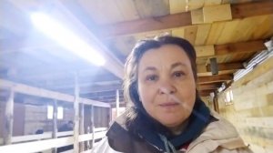 Подстилка для коз. Температура в козовнике зимой.