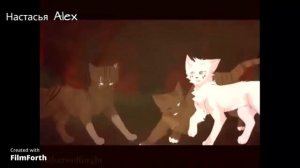 Коты воители клип Искра Психушка