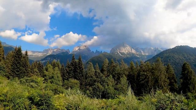 Piano relax music ? soothing relaxation meditation deep sleep ?forest scene ?️ 60 FPS - 1 hour смотреть онлайн