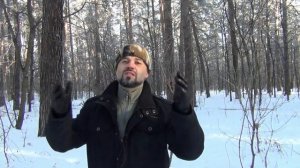 Серия 11 - Гоньба! Что делать, если собака уже гонит птицу?