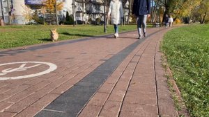 Как изменился мой щенок за 1 год? Корги: от щенка до взрослой собаки (2 месяца — 1 год)