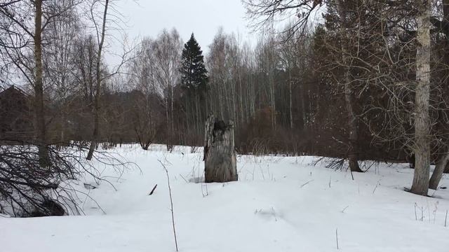 Разрушаем миф о кухне в доме прадеда. Лезу в развалины во дворе смотреть онлайн