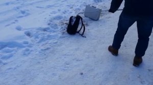 Оперативное видео ФСБ России