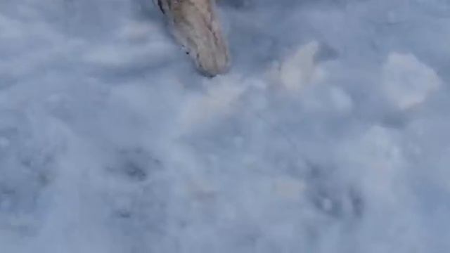 Мужское счастье смотреть онлайн