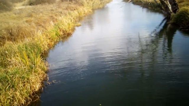 Печенеги , мост через канал к старому руслу реки смотреть онлайн