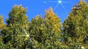 Улыбка осени - Музыка Вадима Гурьева. Красивая мелодия. Музыка для души.