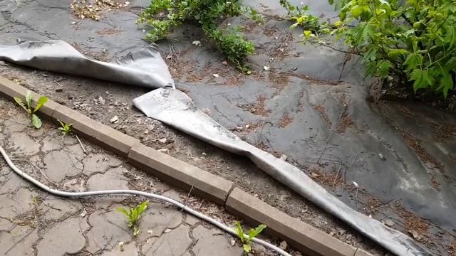 Вороны на участке смотреть онлайн