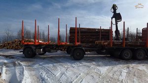 Заготовка леса. Как мы отбираем бревна для наших проектов.