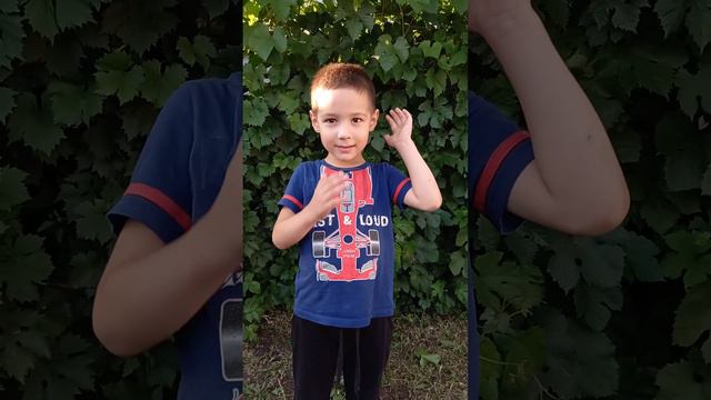 ТОП 10 опасных животных и насекомые