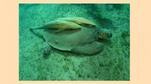 Атмосферное давление