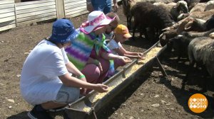 Агротуризм: и коров подоить, и порыбачить... Доброе утро. Фрагмент выпуска от 20.07.2023