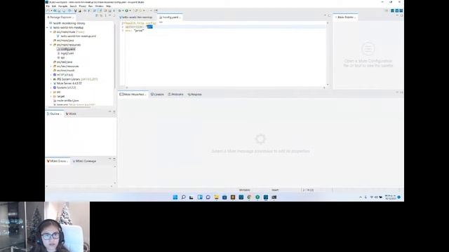 How to generate and implement basic Health Monitoring for Mule Application смотреть онлайн