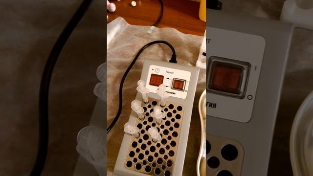 термостат для плазмогеля Термит. +7-916-115-88-58 смотреть онлайн