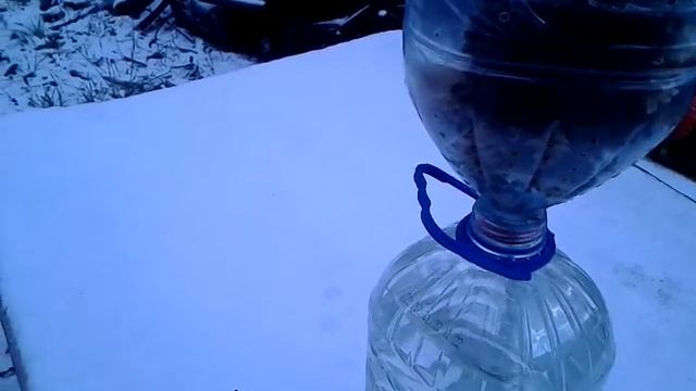 VID 20230216_132527.3gp Зимовка пчёл в бутыле.16.02.2023. смотреть онлайн