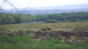 Природа Курского края