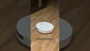 пылесос абьюзер | матершинник