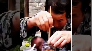 Как делают мед китайцы.mp4