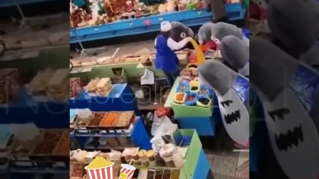 Голуби атакуют продавщицу мем смотреть онлайн