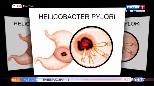 Какие продукты останавливают рост раковых клеток смотреть онлайн
