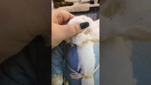 реставрация ватного Деда мороза