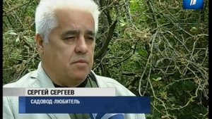 Яблонная моль сжирает урожай