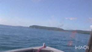 С реки в море проводим отпуск на катере Realcraft 470