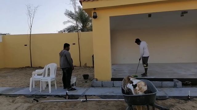 Delonix Regia plant/how to plant delonix regia/Delonix regia plant installation/plantation works смотреть онлайн