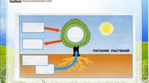 Задание 1 Солнце, растения и мы с вами - Окружающий мир 3 класс (Плешаков А.А.) 1 часть