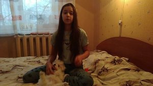 Как научить собаку ходить на пелёнку.