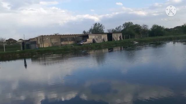 Форель. Ловля прудовой форели на спининг. #Trout #Fishing #Ловляпрудовойфорели#мормышинг