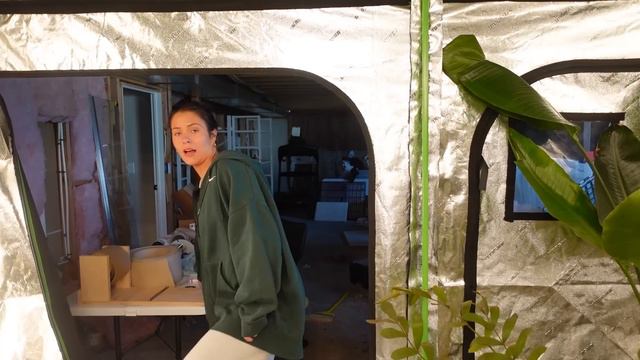 I made an ugly leaf bowl смотреть онлайн