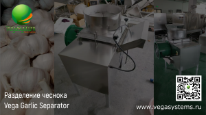 Машина для очистки чеснока от верхней шелухи и разделения на зубчики Vega Garlic Separator