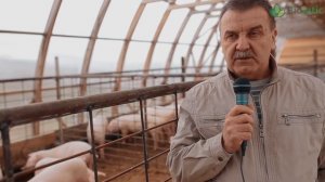 Бактерии для подстилки в свинарнике | Отзыв Биолатик "Biolatic" №2