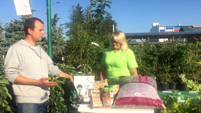 Что делать с колоновидной яблоней смотреть онлайн