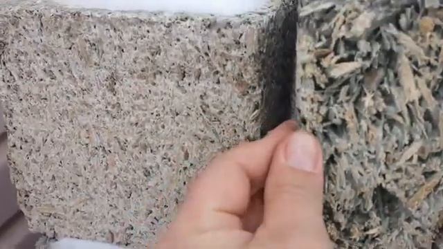 Арболит на зимних каникулах смотреть онлайн