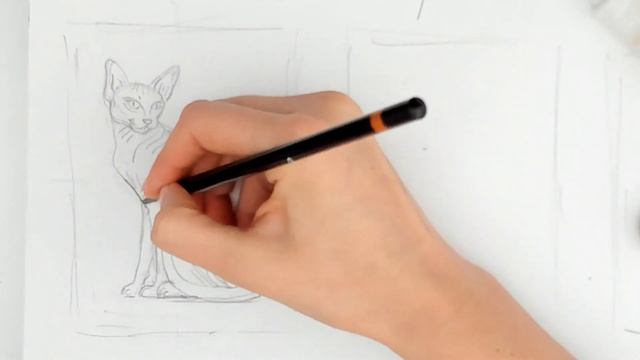 ART on SUNDAYS - Lesson 3, 2021 - Sketches of cats by the line, by tone, by stroke with pencil смотреть онлайн
